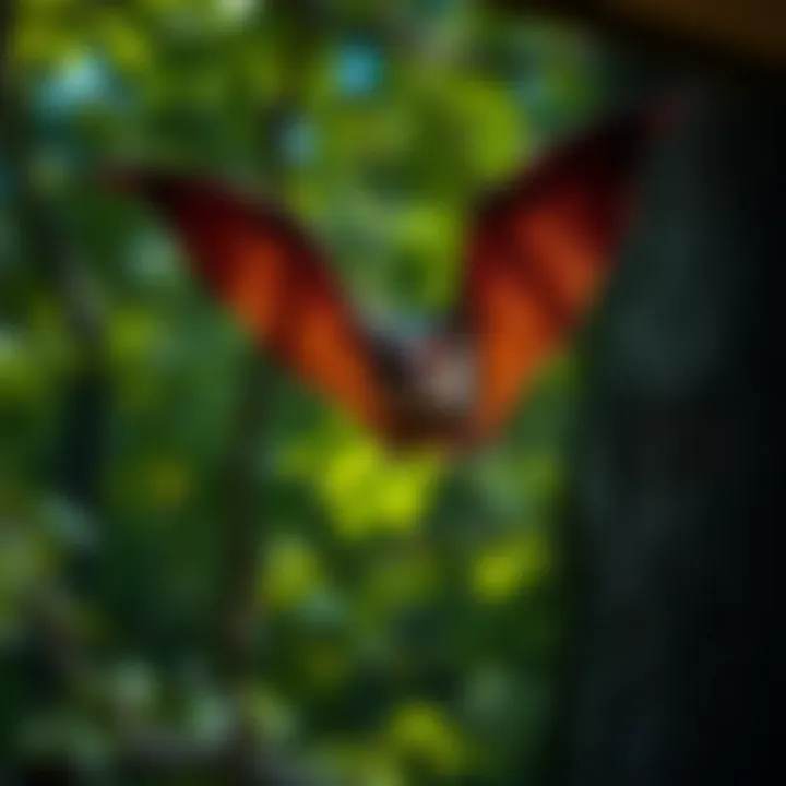 Magnificent Effective Strategies for Deterring Bats from Your Home