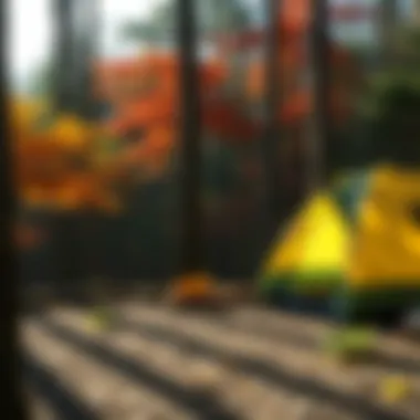 Magnificent Exploring Campsites in Boone, North Carolina