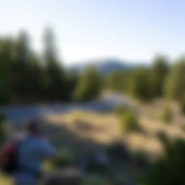 Magnificent Exploring Employment Opportunities in Forestry Jobs in New Mexico Magnificent Exploring Employment Opportunities in Forestry Jobs in New Mexico