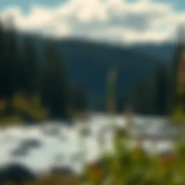 Magnificent Exploring Middle Fork River Outfitters: A Comprehensive Examination