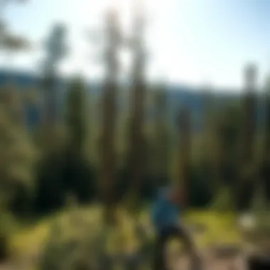 Magnificent Exploring Monongahela National Forest: A Guide to Hiking Magnificent Exploring Monongahela National Forest: A Guide to Hiking