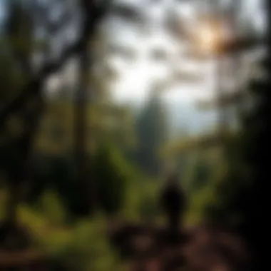 Magnificent Exploring Panther Creek State Park: A Destination for Nature Enthusiasts Magnificent Exploring Panther Creek State Park: A Destination for Nature Enthusiasts