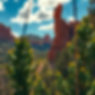 Magnificent Exploring the Garden of the Gods: A Comprehensive Guide Magnificent Exploring the Garden of the Gods: A Comprehensive Guide