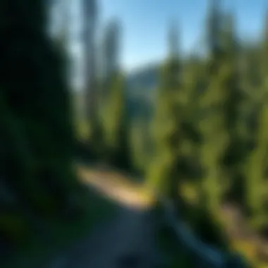 Magnificent Exploring the Pacific Crest Trail in Washington: A Comprehensive Analysis