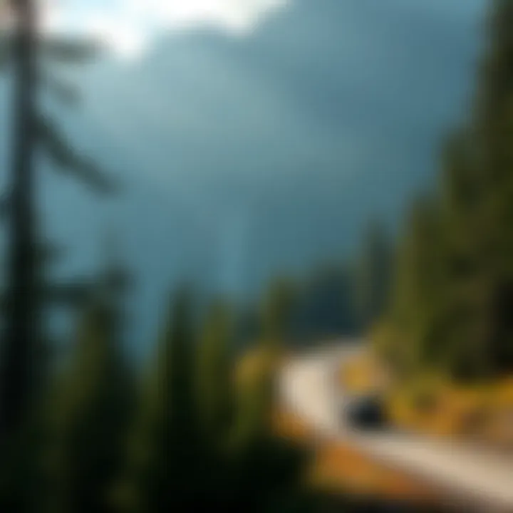 Magnificent Exploring the Scenic Drive through Olympic National Park