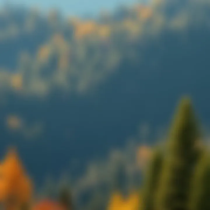 Magnificent Exploring the Sustainability of Forests: Challenges and Solutions