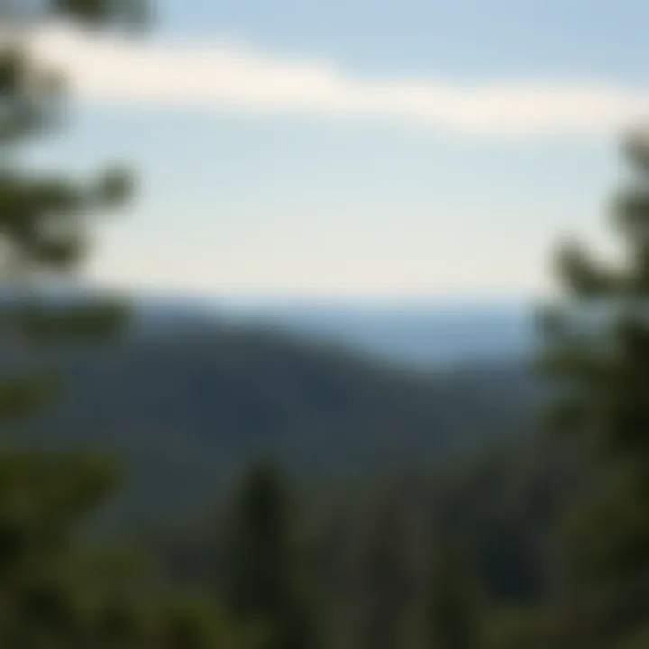 Magnificent Exploring the Trails of Mena, Arkansas: A Comprehensive Guide