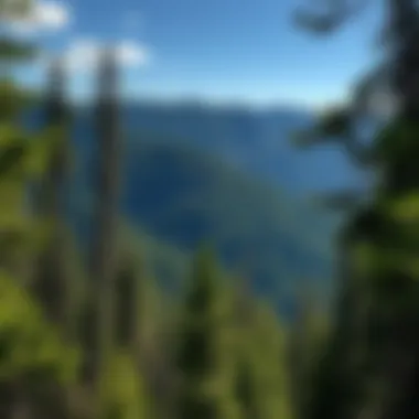 Magnificent Exploring the Treasures of North Idaho