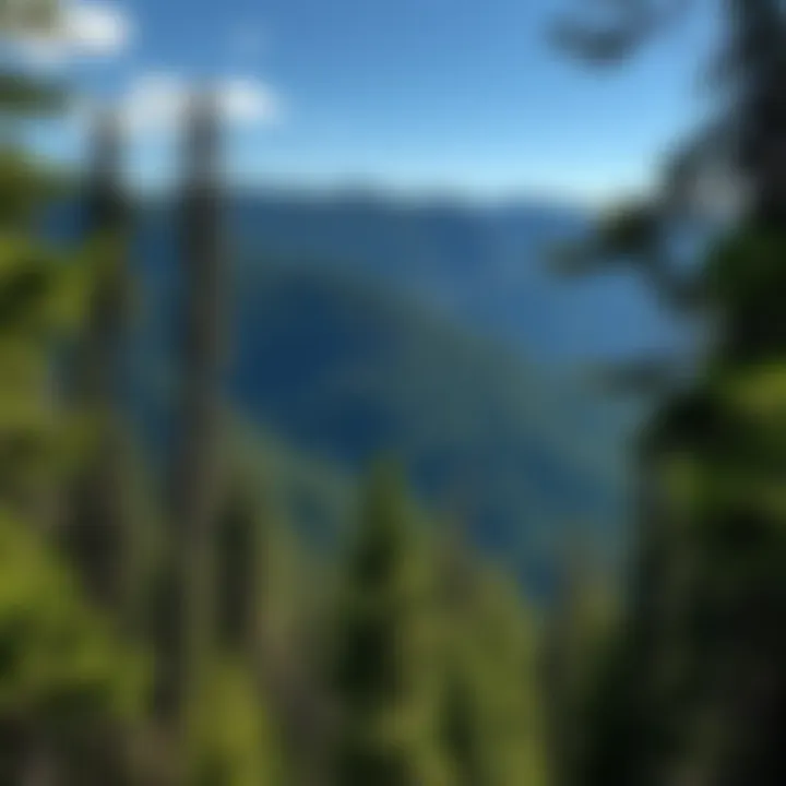 Magnificent Exploring the Treasures of North Idaho