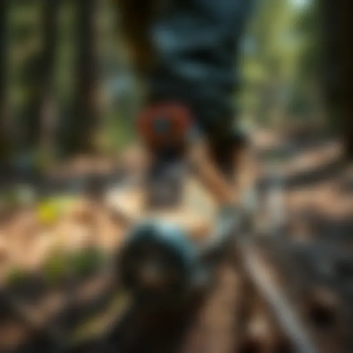 Magnificent Foot Ascender with Spurs: Enhancing Climbing Efficiency in Forestry