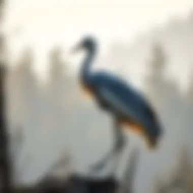 Magnificent Mountain States Crane: An Exploration of Ecology, Management, and Conservation Magnificent Mountain States Crane: An Exploration of Ecology, Management, and Conservation