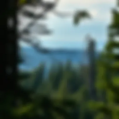 Magnificent Navigating the National Park Pass System Magnificent Navigating the National Park Pass System
