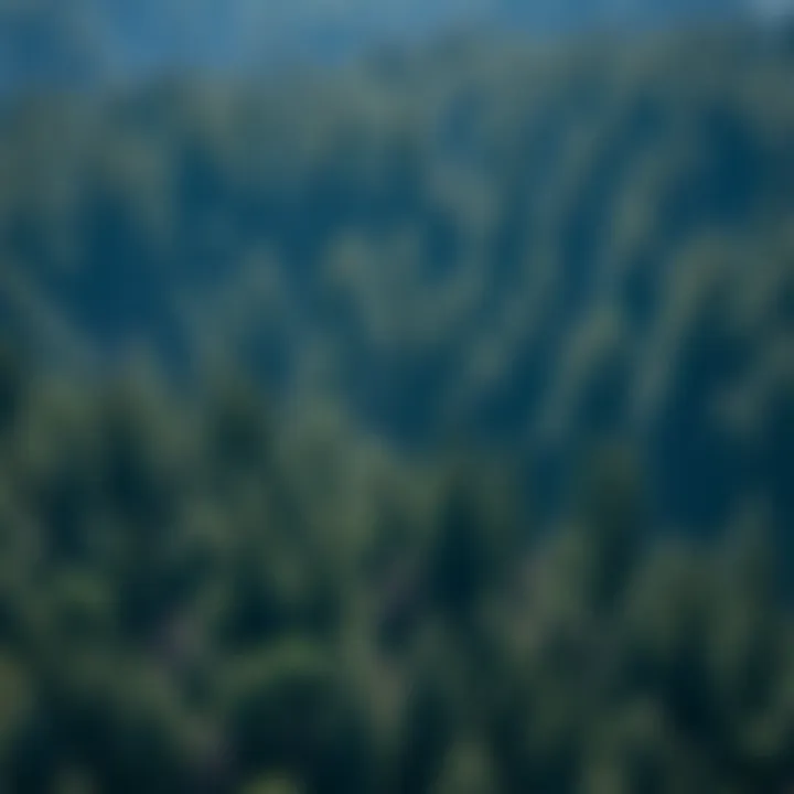 Magnificent Precision of GPS and Its Implications for Forestry Practices