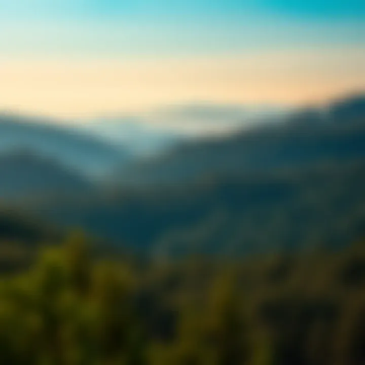 Magnificent Temperature Trends: A Century of Global Warming