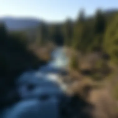 Magnificent The Yuba River: An Exploration of Its Ecological and Cultural Significance Magnificent The Yuba River: An Exploration of Its Ecological and Cultural Significance
