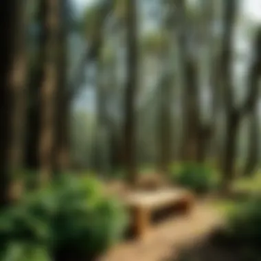 Magnificent Understanding Teak Color: More Than Just Aesthetics Magnificent Understanding Teak Color: More Than Just Aesthetics