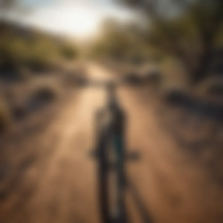 Scenic view of a bicycle trail surrounded by Albuquerque’s unique desert landscape.