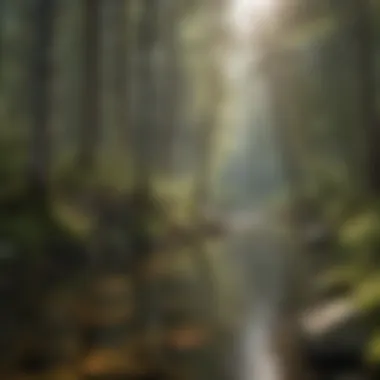 Ideal Habitat for Brook Trout A serene forested area illustrating brook trout habitat requirements