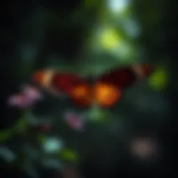 An In-Depth Exploration of Butterfly Rearing Introduction