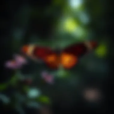 An In-Depth Exploration of Butterfly Rearing Introduction An In-Depth Exploration of Butterfly Rearing Introduction