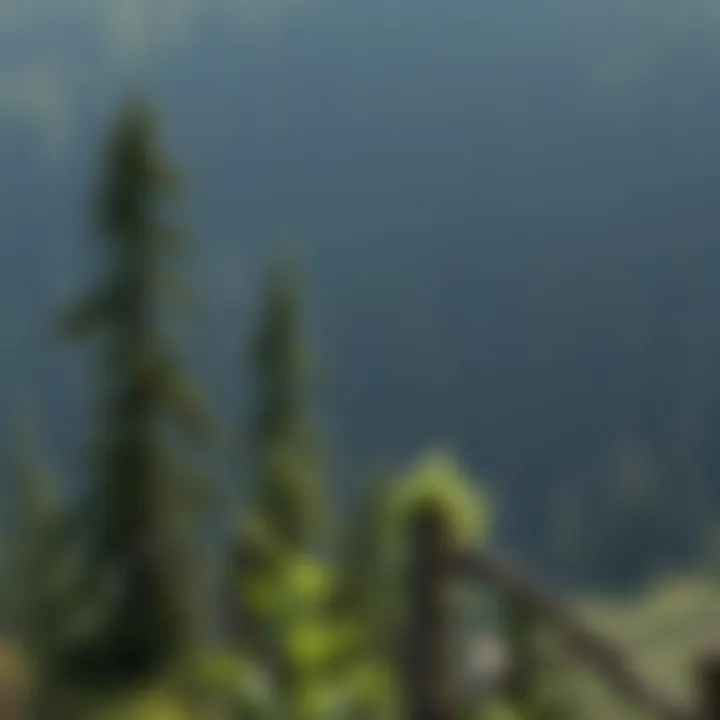 Notable An In-Depth Exploration of Forest Law: Principles and Practices