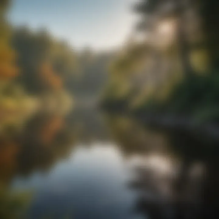 A serene pond surrounded by diverse bird species