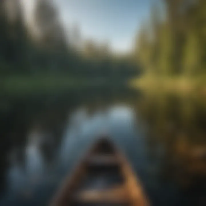 A serene canoe gliding through the crystal-clear waters of the Boundary Waters, surrounded by lush greenery.