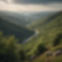 A panoramic view of the lush valleys and ridges of Canaan Valley State Park showcasing its diverse landscapes.