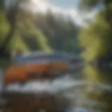 Chinook salmon swimming upstream in a pristine river