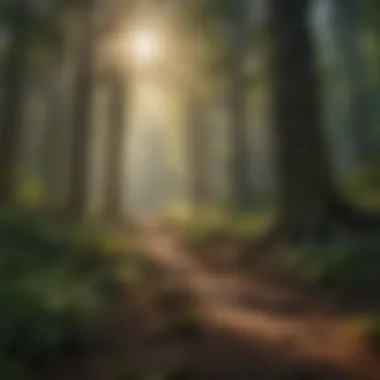 The Importance of Trees in Ecosystems A lush forest landscape showcasing the vital role of trees in the ecosystem