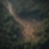 Aerial view of a deforested area showcasing the impact of climate change