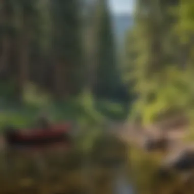 Infographic illustrating types of fishing licenses in Colorado