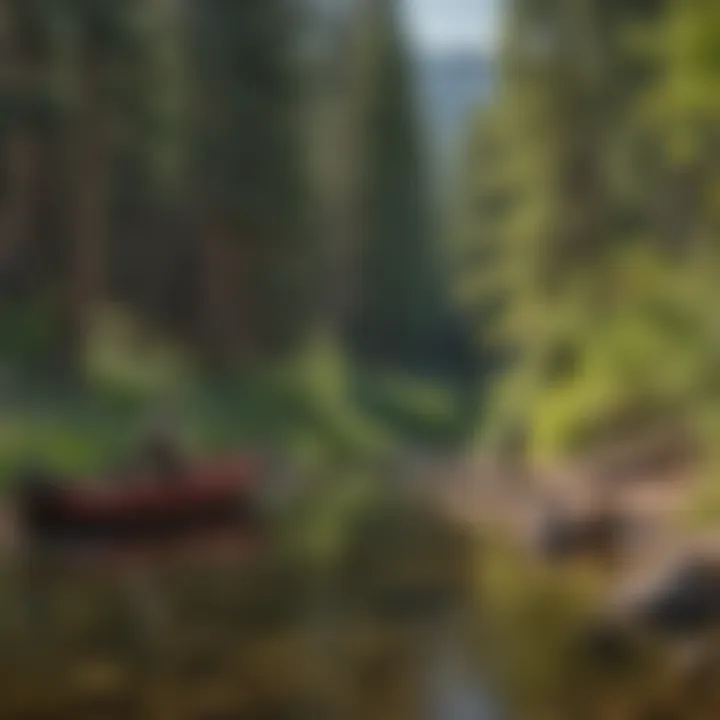 Infographic illustrating types of fishing licenses in Colorado