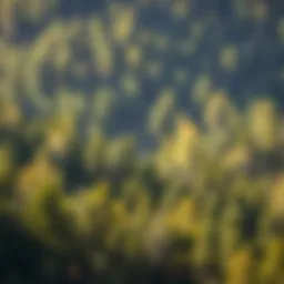 Comprehensive Approaches to Sound Risk Management in Forestry Introduction