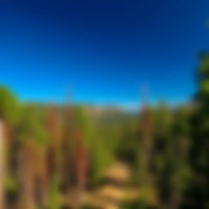 Comprehensive Wonders of Black Hills National Forest Summary
