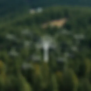 Ecological Impact of Tree Cutting A diagram depicting the ecological impact of tree cutting