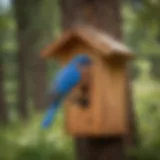 A beautifully constructed bluebird box mounted on a tree