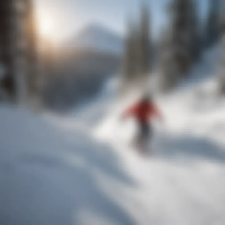 Visitors enjoying skiing at Mt. Hood Meadows