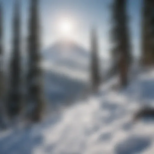 Snow-covered slopes at Mt. Hood Meadows