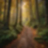 Scenic view of Cougar Mountain trails during autumn