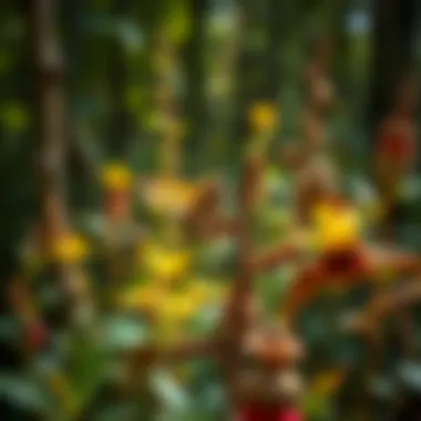 Notable Cultivating Biodiversity: A Guide to Planting for Pollinators