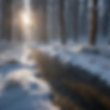 A snow-covered landscape highlighting the impact of climatic changes on snowfall patterns.