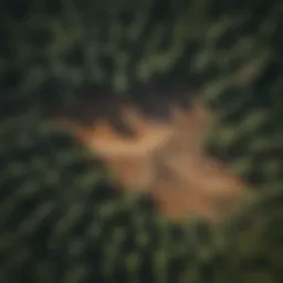 Aerial view of deforested land in South America