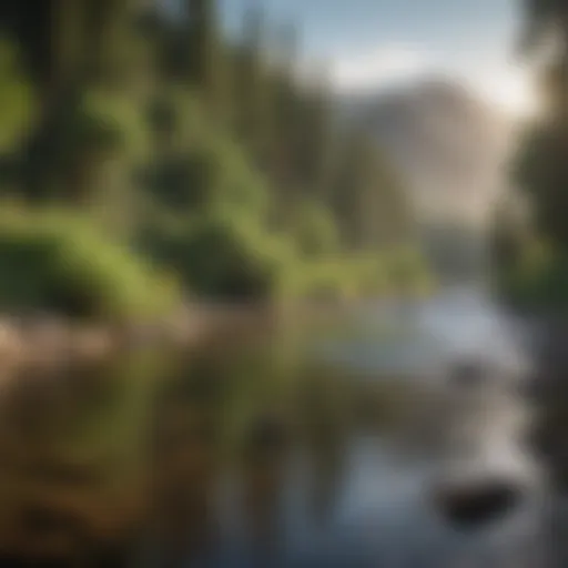 Close-up of a tranquil Colorado river surrounded by lush greenery