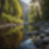 Tranquil waters of East Canyon reflecting the surrounding landscape