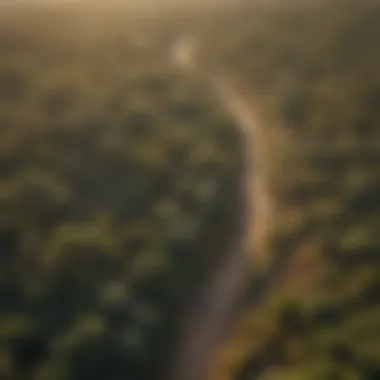 Aerial view of an elephant trail showcasing habitat connectivity