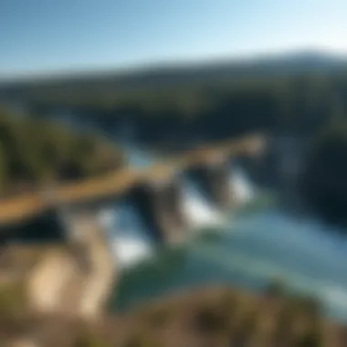 Species Migration Challenges Due to Dams Illustration of aquatic species migration barriers caused by dam construction