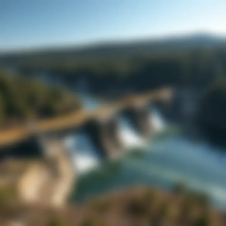 Species Migration Challenges Due to Dams Illustration of aquatic species migration barriers caused by dam construction