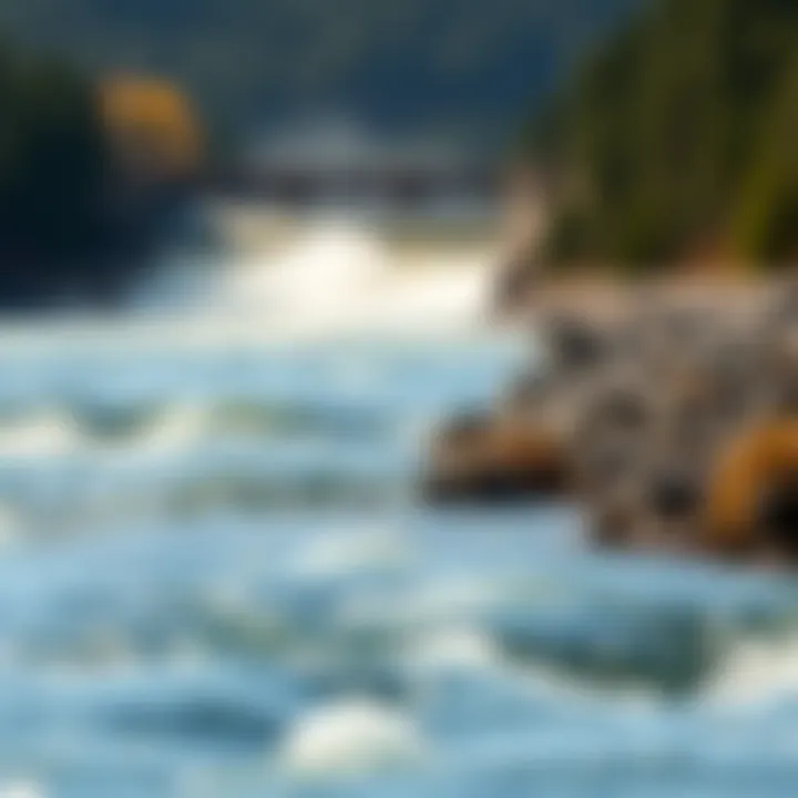 Impact of Dam on River Water Flow Close-up of a river with altered water flow due to a dam
