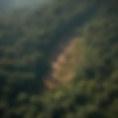 Aerial view of a cleared land area showing the contrast between forested and cleared sections